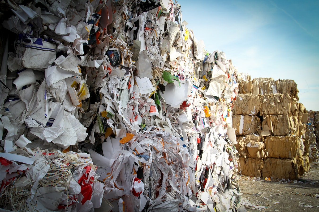 paper recycling